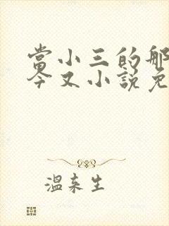 当小三的那些年今又小说免费阅读