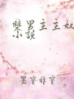 双男主主奴调教小说