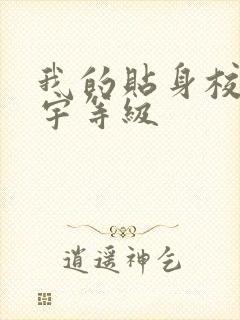 我的贴身校花唐宇等级