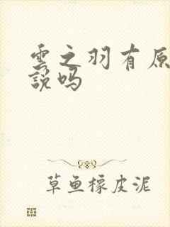 云之羽有原著小说吗