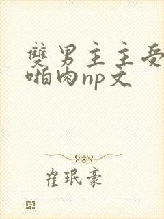 双男主主受高h啪肉np文