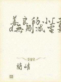 善良的小[子hd无删减电影