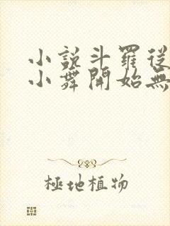 小说斗罗从攻略小舞开始无敌