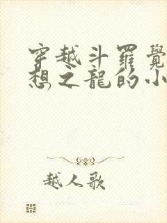 穿越斗罗觉醒空想之龙的小说