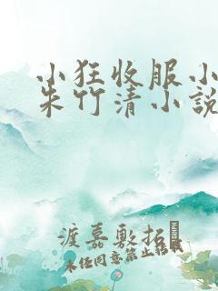 小狂收服小舞,朱竹清小说免费阅读