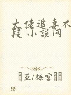 大佬追妻不择手段 小说网