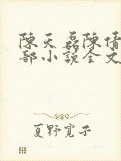 陈天磊陈倩第二部小说全文阅读