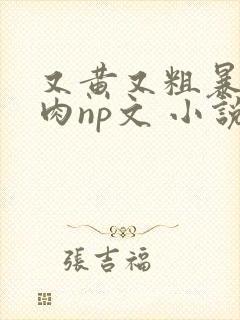 又黄又粗暴的纯肉np文 小说