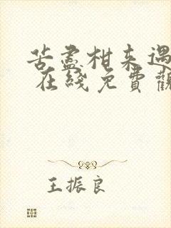 苦尽柑来遇见你 在线免费观看