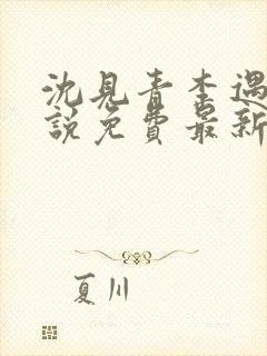 沈见青李遇泽小说免费最新章节阅读