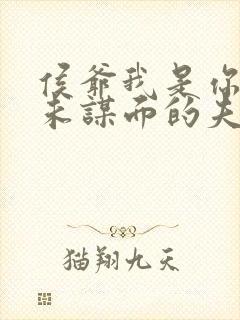 侯爷我是你那素未谋面的夫人啊免费观看