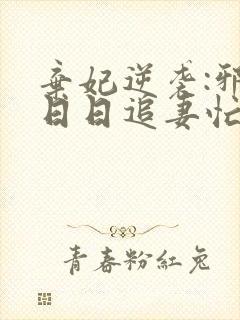 弃妃逆袭:邪王日日追妻忙