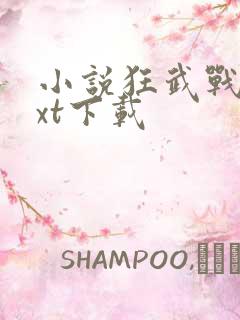 小说狂武战帝txt下载