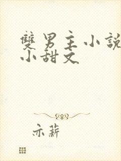 双男主小说推荐小甜文