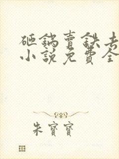 砸锅卖铁去上学小说免费全本阅读