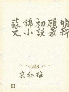 苏锦初顾明琛全文小说最新章节更新