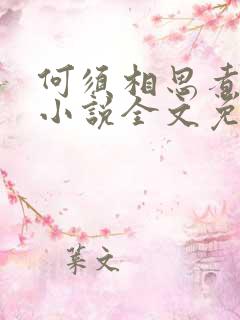 何须相思煮余年小说全文免费阅读