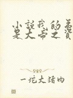 小说我的弟子全是大帝之资免费完本