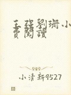 王强刘珊小说免费阅读