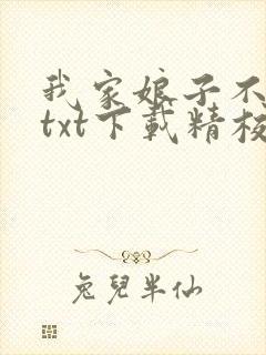 我家娘子不对劲txt下载精校版