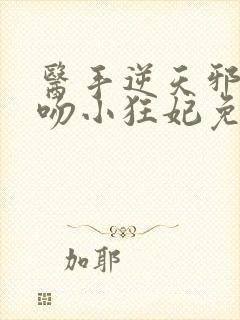 医手逆天邪王毒吻小狂妃免费阅读