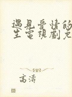 遇见爱情的利先生电视剧免费观看完整版