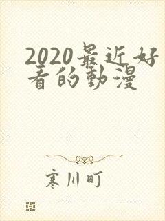2020最近好看的动漫