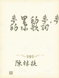 梦里的梦,梦里的你歌词