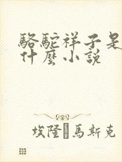 骆驼祥子是一篇什么小说