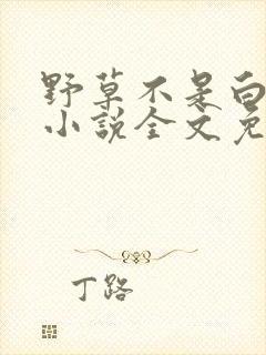 野草不是白月光小说全文免费阅读