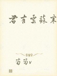 君有云苏寒实力