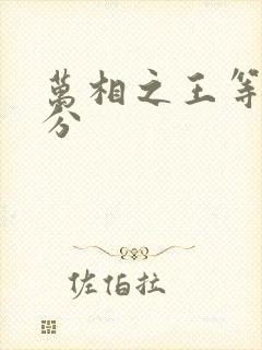 万相之王等级划分