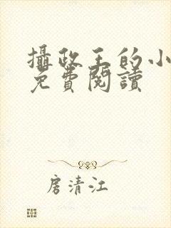 摄政王的小狼妃免费阅读