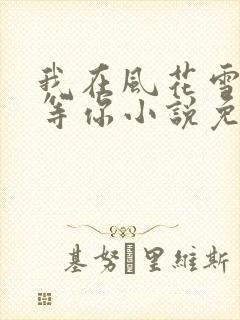 我在风花雪月里等你小说免费阅读