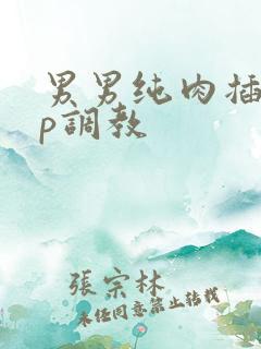 男男纯肉插入np调教