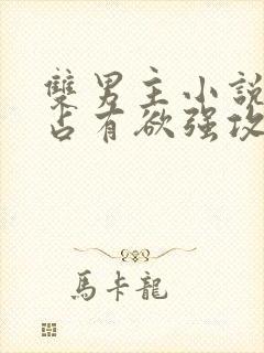 双男主小说病娇占有欲强攻文