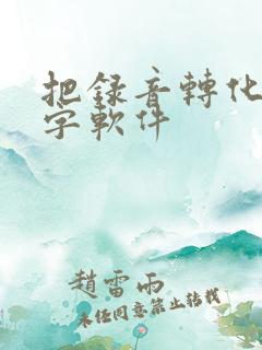 把录音转化成文字软件