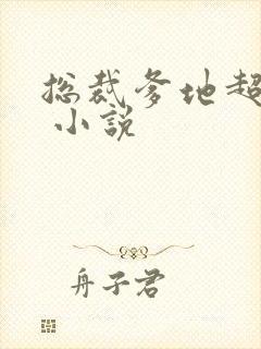 总裁爹地超给力 小说