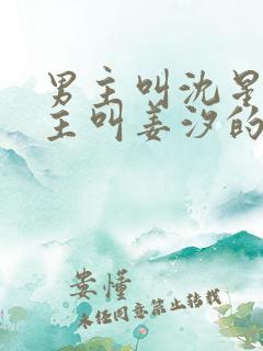 男主叫沈星回女主叫姜汐的小说