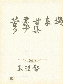 苦尽甘来遇见你多少集