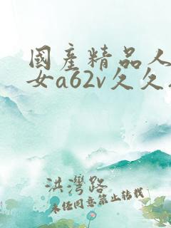 国产精品人妻熟女a62v久久夜色