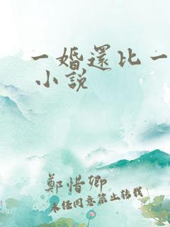 一婚还比一婚高 小说