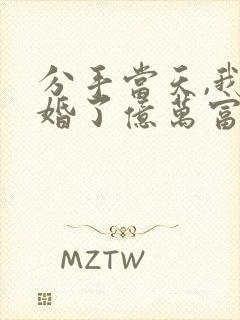 分手当天,我闪婚了亿万富豪