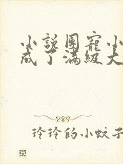 小说团宠小可爱成了满级大佬