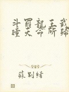 斗罗龙王武魂重瞳天命所归