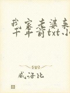 我家老婆来自一千年前txt小说
