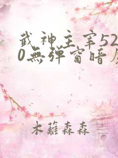 武神主宰5200无弹窗暗魔师