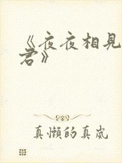 《夜夜相见不识君》