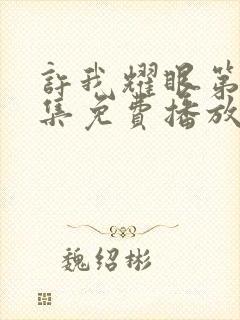 许我耀眼第36集免费播放