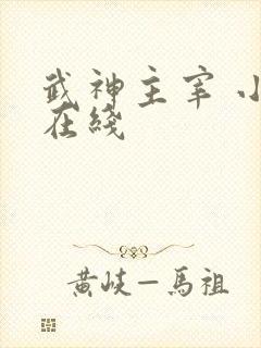 武神主宰 小说在线